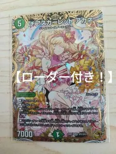 2026年最新】チアスカーレットアカネの人気アイテム - メルカリ