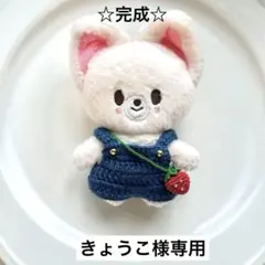 skzoo 10cm きょうこ様専用ページ