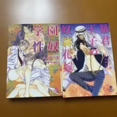 BL小説　かわい恋　2冊