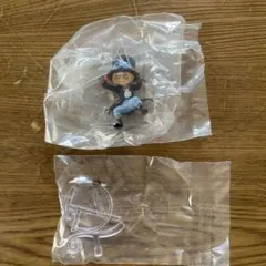 ワンピの実　サボ