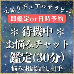 AO＊＊＊様専用ページ【エンジェルリーディングチャット鑑定】30分