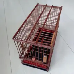 2026年最新】メジロ かごの人気アイテム - メルカリ