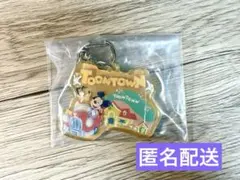 ディズニー　テーマパーク　テーマポート　トゥーンタウン　キーチェーン