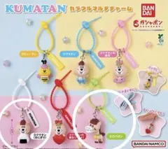 匿名配送　KUMATAN カラフルマルチチャーム 2点セット