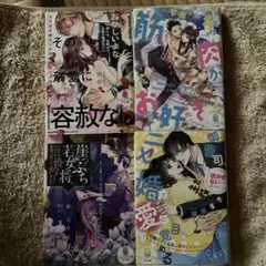 その溺愛に容赦なし！過保護な幼なじみ社長の極甘いプロポーズ　他3冊