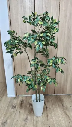 IKEA フェイクグリーン フェイカ人工観葉植物 ベンジャミン - メルカリ