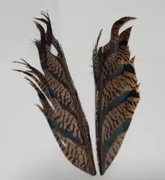 Item thumbnail for item 4687004a-485a-4a72-90be-8924ffcaf864