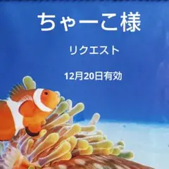 ちゃーこ様 リクエスト 4点 まとめ商品