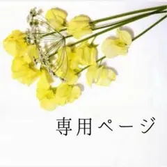イエナ／ほぼ未使用品／6x3リブクルーネックプルオーバーニット モカベージュ