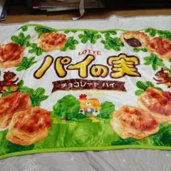 パイの実　ブランケット　新品