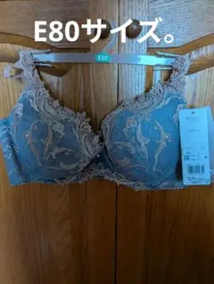 。よしぺ様。ワコール、レシアージュ、ブラジャーE80サイズ.希少。