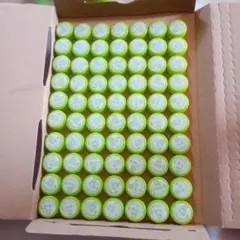 い・ろ・は・す ペットボトルキャップ 緑 大量セット