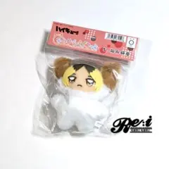 ハイキュー!!　ちみけもますこっと　孤爪研磨