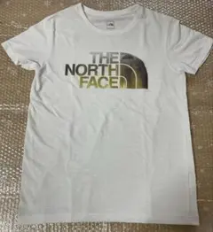 Item thumbnail for item 0622b792-2494-4d1c-82a6-e98a1c4f3986