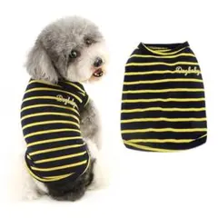 Item thumbnail for item 88f414ba-207f-472b-b78a-d0f1a3a87103