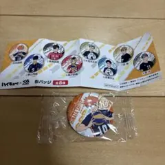 ハイキュー!! 日向翔陽 缶バッジ