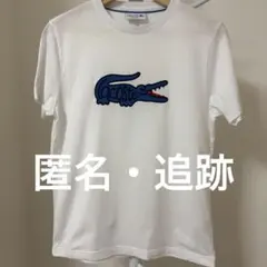 ラコステ LACOSTE 半袖Tシャツのサムネイル