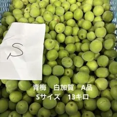 白加賀 追熟品 10キロ - メルカリ