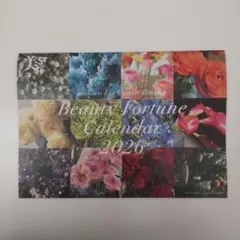 美ST 26年2月号付録 Beauty Fortune Calendar 26