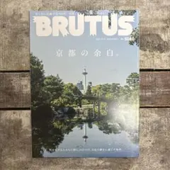 BRUTUS1040