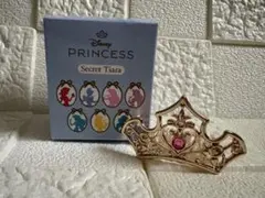 ディズニー　ストア　シークレット　ティアラ　プリンセス　オーロラ