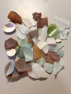 シーグラス 貝殻セット