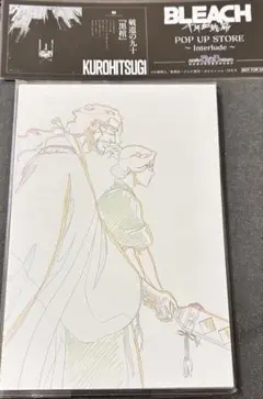 BLEACH ポップアップ　原画ポストカードセット　特典