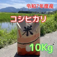 令和7年度産 コシヒカリ 10kg 農家のお米
