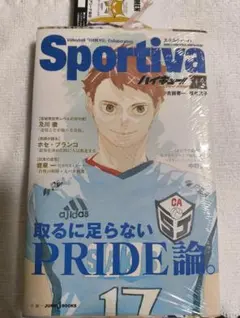 ハイキュー ショーセツバン!!×SportivaXIII 13巻　及川徹