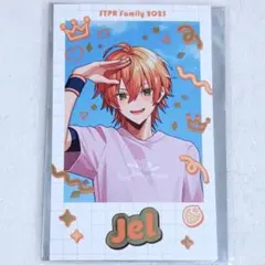 ジェルくん すとぷり フォトカード STPR Family 2025 レア