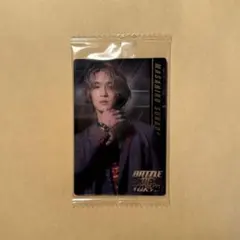 BOTウエハース 砂田将宏