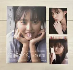 Item thumbnail for item 83d2a01d-1c17-4304-85c4-0356356b1dd2