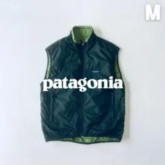 Patagonia MARS PCU level7パフボールベスト実物04年製M Patagonia MARS PCU level7パフボールベスト実物04年製M - メルカリ