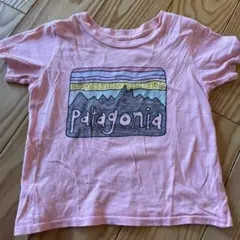 パタゴニア　2T