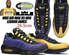 【美品】NIKE LeBron15 AirMax95 29.5cm人気モデル 美品】NIKE LeBron15 AirMax95 29.5cm人気モデル 美品】NIKE