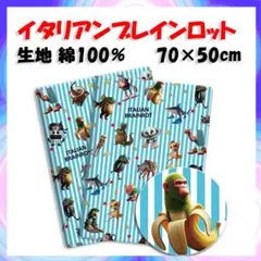 新品　イタリアンブレインロット 生地　布 幅70×縦50cm　綿100%