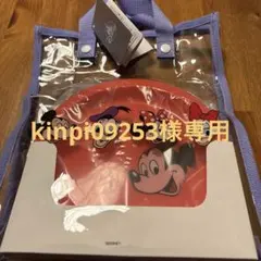 ディズニー　プレート＆バッグセット