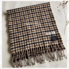 アクアスキュータム マフラー