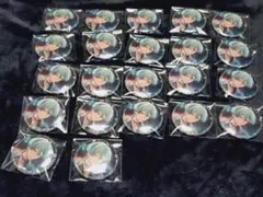 あそ様 リクエスト 2点 まとめ商品