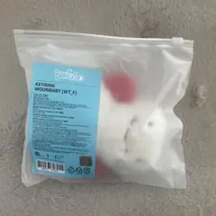 BOYNEXTDOOR キーリング ウナク ウンアギ ボネクド プネクド