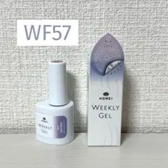 WEEKLY GEL Blue Daisy wf57のサムネイル
