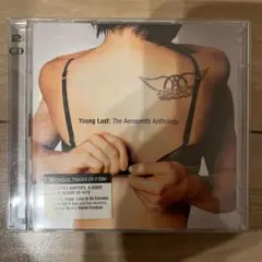 Young Lust: The Aerosmith Anthology