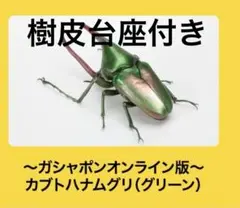 いきもの大図鑑　かぶとむし09 カブトハナムグリ(グリーン) オンライン版