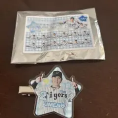 Item thumbnail for item c67c6e00-1430-4a7a-be12-e5b2b8e3bf6f