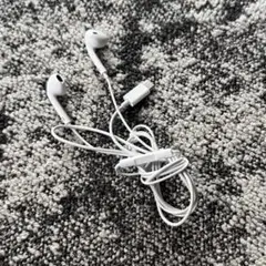 Apple 純正 USB-C イヤフォン 【送料無料】