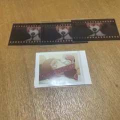 ギヴン　海へ　ぱしゃこれ　フィルム風コレクション　佐藤真冬