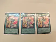 ティマイオスの眼光 3枚セット