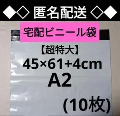 特大サイズ⭐️ 500×600 宅配ビニール袋 超特大 宅配袋 丈夫 - メルカリ