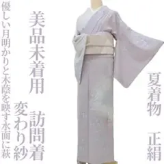 美品未着用 夏着物 変わり紗“優しい月明かりと木蔭を映す水面に萩”訪問着N+43