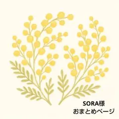 SORA様 リクエスト 3点 まとめ商品
